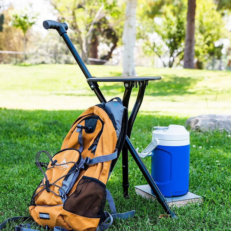 Walking Stick Chair